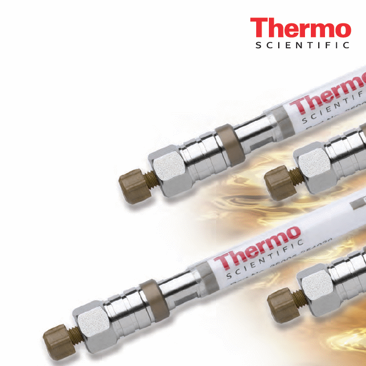 30505-204630 Thermo Hypersil SAS（C1）液相色谱柱